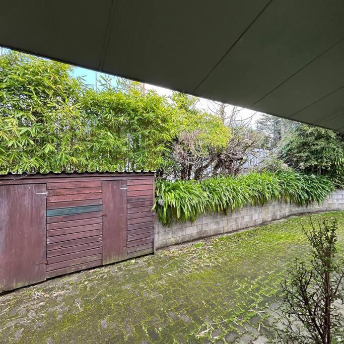 Peaceful Green Bay Charmer Auckland Exteriör bild